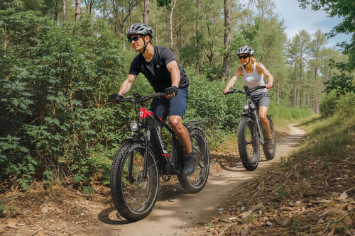 DUOTTS F26Lite Electric Bike, official manufacturer photograph