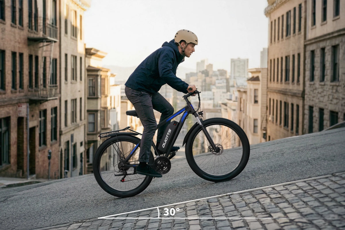 DUOTTS C29 Electric Bike, official manufacturer photograph