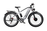 DUOTTS F26 Electric Bike, official manufacturer photograph