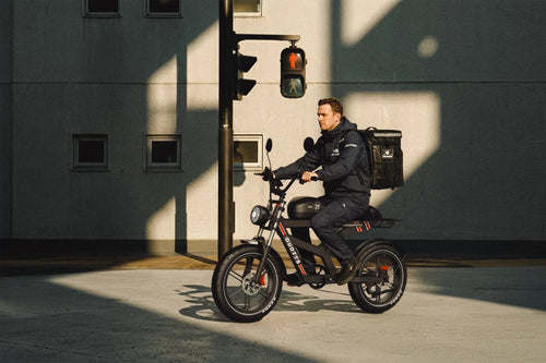 DUOTTS F20 Electric Bike, official manufacturer photograph