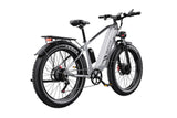 DUOTTS F26 Electric Bike, official manufacturer photograph