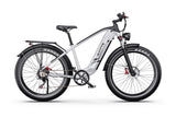 DUOTTS F26Lite Electric Bike, official manufacturer photograph