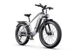 DUOTTS F26Lite Electric Bike, official manufacturer photograph