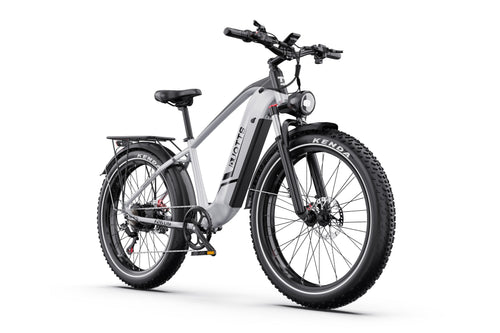 DUOTTS F26Lite Electric Bike, official manufacturer photograph