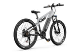 DUOTTS E29 Electric Bike, official manufacturer photograph